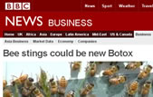 BBC News: Bee stings could be the new Botox.