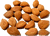 Apricot kernel